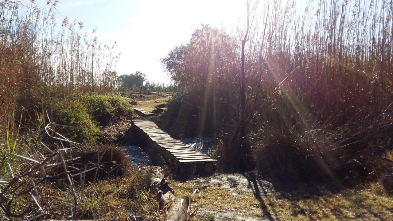 Gerald'S Gift Guest House Addo Exterior foto