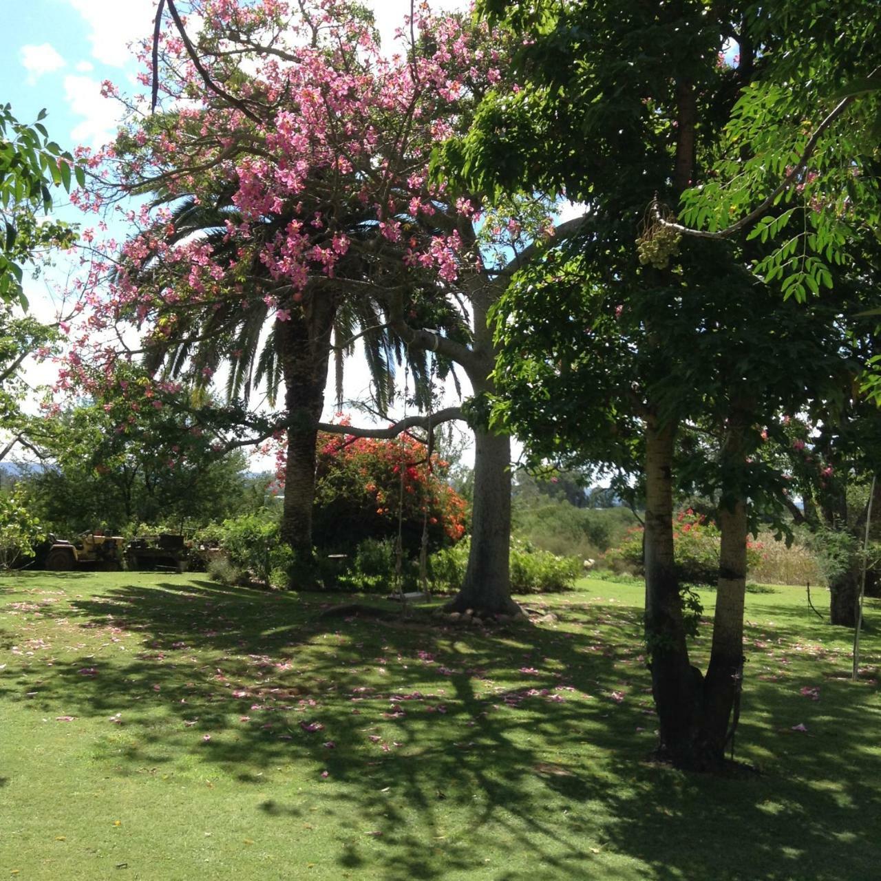 Gerald'S Gift Guest House Addo Exterior foto