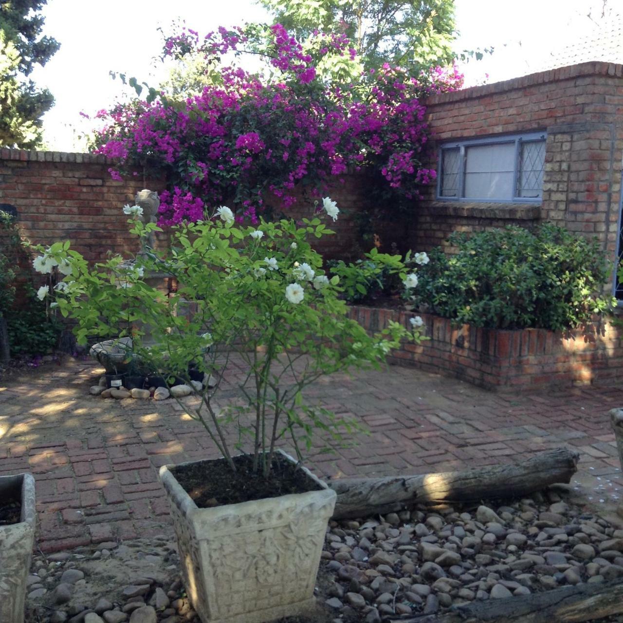Gerald'S Gift Guest House Addo Exterior foto